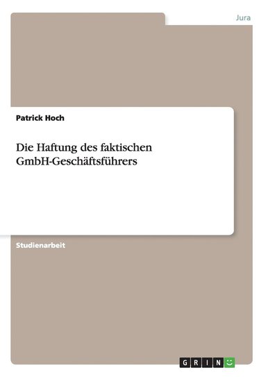 bokomslag Die Haftung Des Faktischen Gmbh-Geschaftsfuhrers