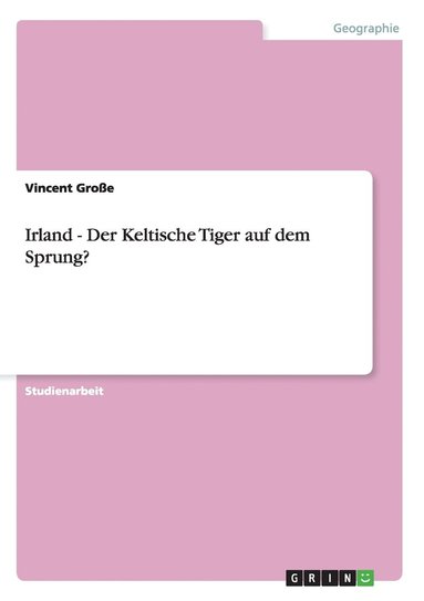 bokomslag Irland - Der Keltische Tiger auf dem Sprung?