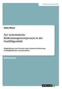 bokomslag Der systematische Risikomanagementprozess in der Strafflligenhilfe