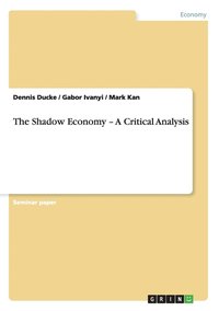 bokomslag The Shadow Economy - A Critical Analysis