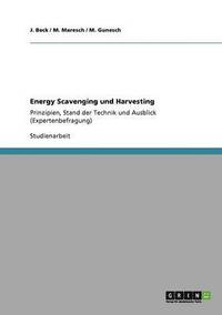 bokomslag Energy Scavenging Und Harvesting