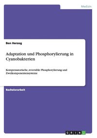 bokomslag Adaptation und Phosphorylierung in Cyanobakterien