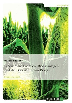 Biogasanlagen Sowie Nutzung Und Bedeutung Von Biogas 1