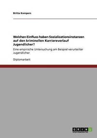 bokomslag Welchen Einfluss haben Sozialisationsinstanzen auf den kriminellen Karriereverlauf Jugendlicher?