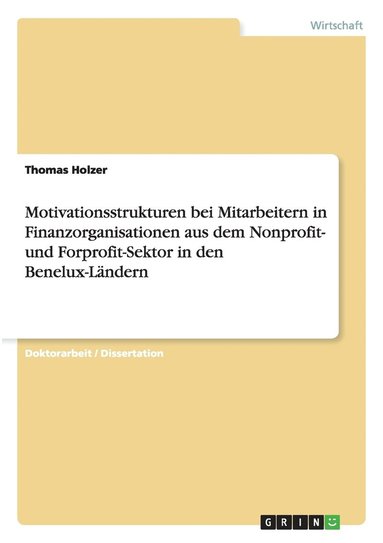 bokomslag Motivationsstrukturen bei Mitarbeitern in Finanzorganisationen aus dem Nonprofit- und Forprofit-Sektor in den Benelux-Ländern