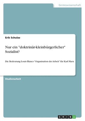 Erik Schulze - Nur ein "doktrinär-kleinbürgerlicher" Sozialist?, Häftad
