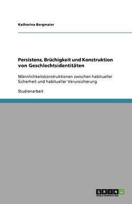 bokomslag Persistenz, Brüchigkeit und Konstruktion von Geschlechtsidentitäten