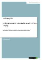 bokomslag Evaluation Des Netzwerks Fur Kinderschutz Leipzig