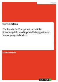 bokomslag Die Litauische Energiewirtschaft: Im Spannungsfeld Von Importabh Ngigkeit Und Versorgungssicherheit