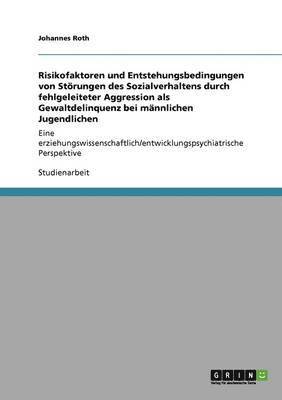 Risikofaktoren und Entstehungsbedingungen von Störungen des Sozialverhaltens durch fehlgeleiteter Aggression als Gewaltdelinquenz bei männlichen Jugendlichen