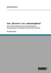 bokomslag Vom -Kostrom Zum Kahlschlagdiesel