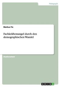 bokomslag Fachkraftemangel Durch Den Demographischen Wandel