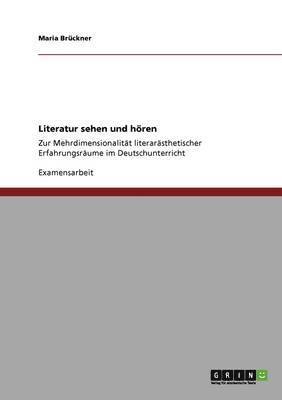 bokomslag Literatur sehen und hren