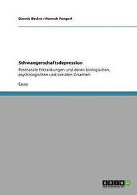 bokomslag Schwangerschaftsdepression