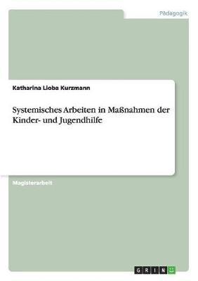 bokomslag Systemisches Arbeiten in Manahmen der Kinder- und Jugendhilfe