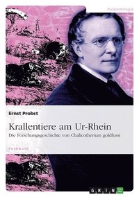 bokomslag Krallentiere am Ur-Rhein