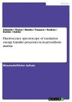 bokomslag Fluorescence Spectrocopy of Excitation Energy Transfer Processes in Acaryochloris Marina