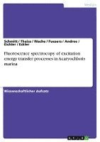 bokomslag Fluorescence Spectrocopy of Excitation Energy Transfer Processes in Acaryochloris Marina