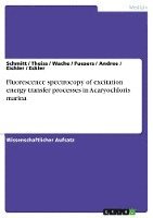 Fluorescence Spectrocopy of Excitation Energy Transfer Processes in Acaryochloris Marina 1