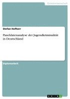 bokomslag Paneldatenanalyse Der Jugendkriminalit T in Deutschland