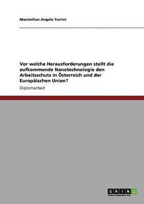 bokomslag Vor welche Herausforderungen stellt die aufkommende Nanotechnologie den Arbeitsschutz in sterreich und der Europischen Union?