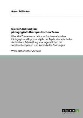 bokomslag Die Behandlung im pdagogisch-therapeutischen Team