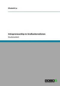bokomslag Intrapreneurship in Großunternehmen