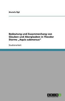 Bedeutung und Zusammenhang von Glauben und Aberglauben in Theodor Storms 'Aquis submersus 1