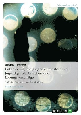 Bekämpfung von Jugendkriminalität und Jugendgewalt. Ursachen und Lösungsvorschläge
