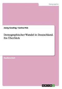 bokomslag Demographischer Wandel in Deutschland. Ein berblick