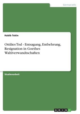 Habib Tekin - Ottilies Tod - Entsagung, Entbehrung, Resignation in Goethes Wahlverwandtschaften, Häftad