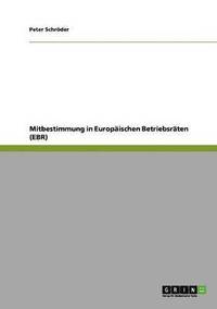 bokomslag Mitbestimmung in Europaischen Betriebsraten (EBR)
