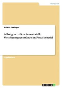 bokomslag Selbst Geschaffene Immaterielle Vermogensgegenstande Im Praxisbeispiel