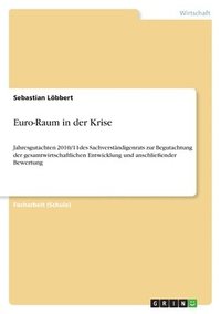 bokomslag Euro-Raum in der Krise