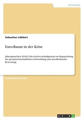 bokomslag Euro-Raum in der Krise