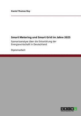 Daniel Thomas Roy - Smart Metering und Smart Grid im Jahre 2025, Häftad
