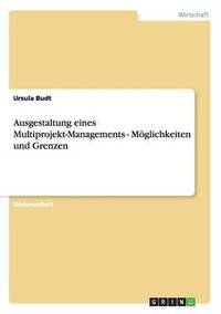 bokomslag Leitfaden für die Umsetzung von Multiprojekt-Management. Möglichkeiten und Grenzen.