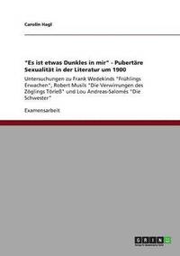 bokomslag &quot;Es ist etwas Dunkles in mir&quot; - Pubertre Sexualitt in der Literatur um 1900