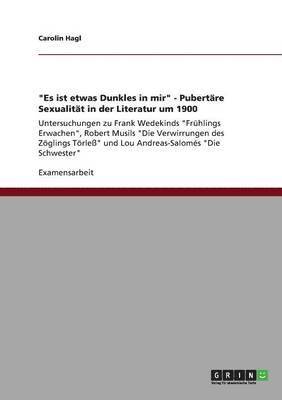 "Es ist etwas Dunkles in mir" - Pubertäre Sexualität in der Literatur um 1900