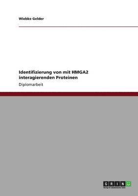 bokomslag Identifizierung Von Mit Hmga2 Interagierenden Proteinen