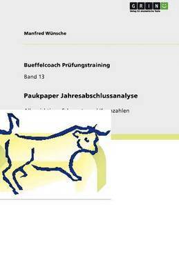 Paukpaper Jahresabschlussanalyse