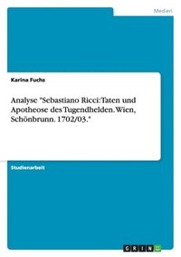 bokomslag Analyse Sebastiano Ricci: Taten und Apotheose des Tugendhelden. Wien, Schönbrunn. 1702/03.