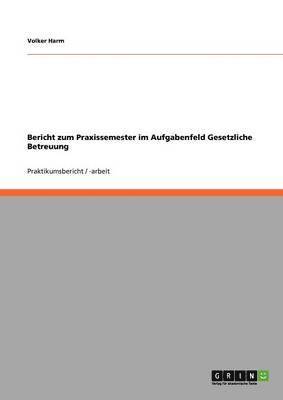 Volker Harm - Bericht zum Praxissemester im Aufgabenfeld Gesetzliche Betreuung, Häftad