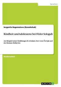 bokomslag Kindheit und Adoleszenz bei Fëdor Sologub