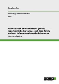 bokomslag An evaluation of the impact of gender, racial/ethnic background, social class, family and peer influence on juvenile delinquency