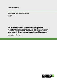 bokomslag evaluation of the impact of gender, racial/ethnic background, social class, family and peer influence on juvenile delinquency