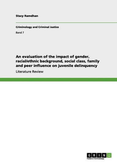 bokomslag evaluation of the impact of gender, racial/ethnic background, social class, family and peer influence on juvenile delinquency