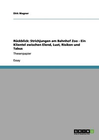 bokomslag Rückblick: Strichjungen am Bahnhof Zoo - Ein Klientel zwischen Elend, Lust, Risiken und Tabus
