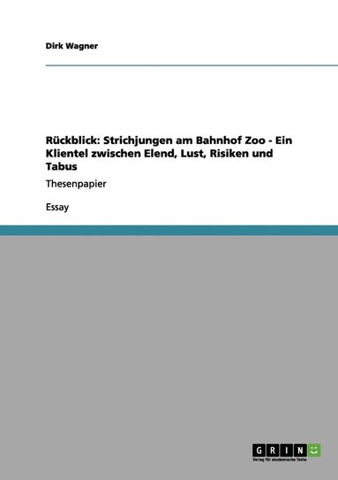 bokomslag Rückblick: Strichjungen am Bahnhof Zoo - Ein Klientel zwischen Elend, Lust, Risiken und Tabus