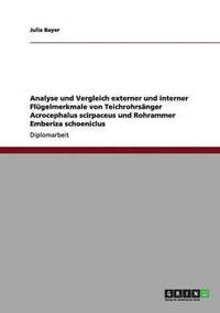 bokomslag Analyse und Vergleich externer und interner Flgelmerkmale von Teichrohrsnger Acrocephalus scirpaceus und Rohrammer Emberiza schoeniclus